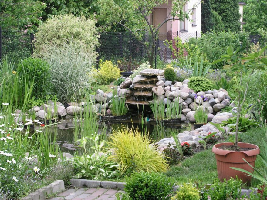 Garden pond with pond plants