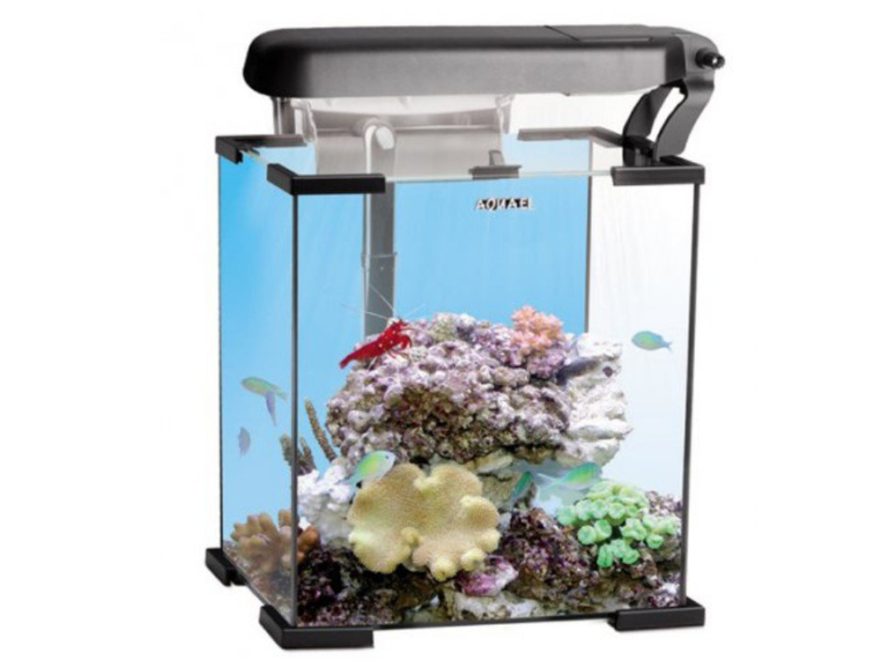 snel Gepland Contractie How to set up a nano reef tank - Help Guides