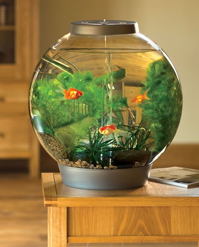 BiOrb fish tanks